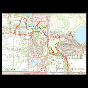 digital mapping of bird trails / Reservoir Woods 1